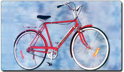 African Standard Bicycle Exporter In India, Ludhiana, Punjab, India.
